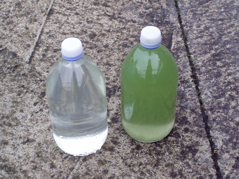 ¿Se pueden entregar para su análisis muestras recogidas por el cliente?