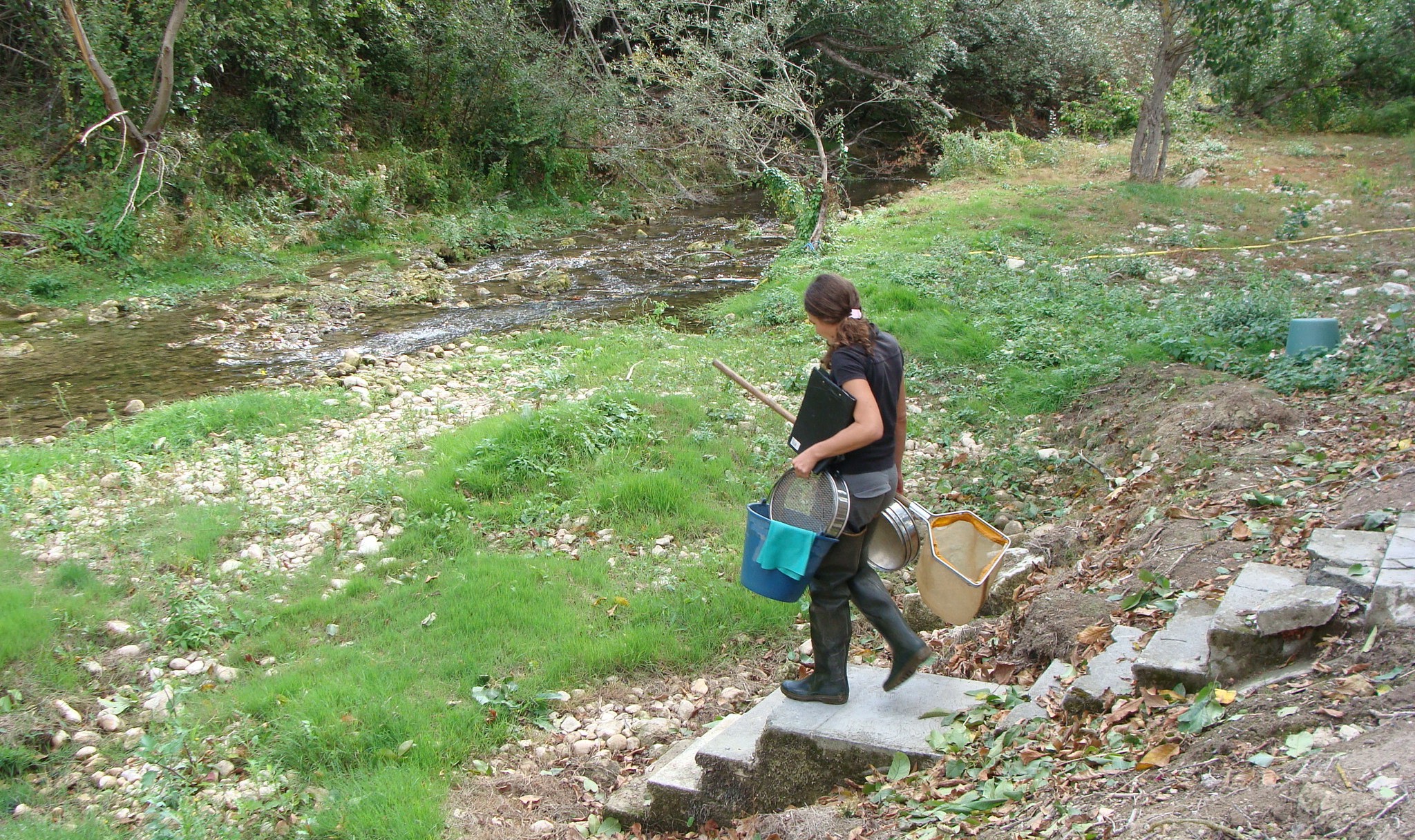 la falta de caudal reduce la superficie de hábitat fluvial disponible